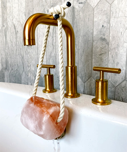 Rosa Himalaya Bade salz Felsen